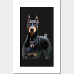 doberman and his son Posters and Art